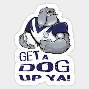 Canterbury Bulldogs - GET A DOG UP YA! Sticker